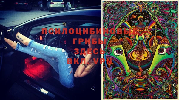 mdpv Магас