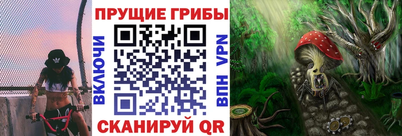 Псилоцибиновые грибы мухоморы  Купить закладки  Красноярск 
